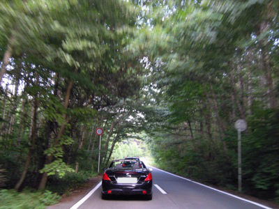 d0044986_23261574.jpg