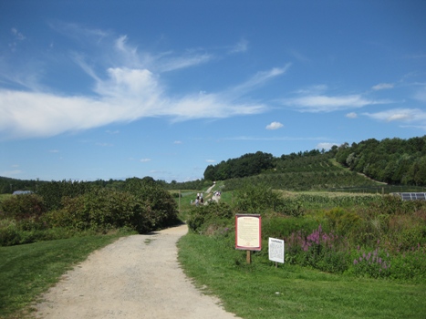 f0195286_046440.jpg