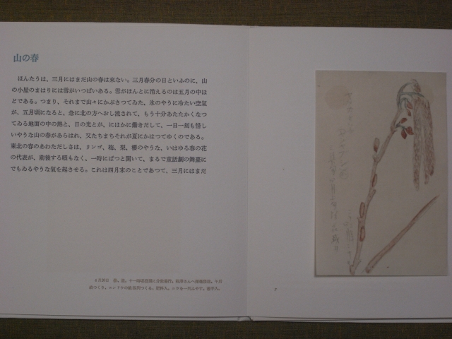 e0152493_2034860.jpg
