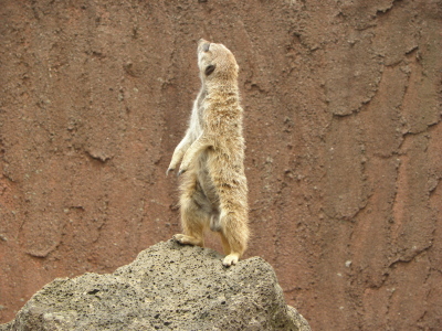 c0086895_1418793.jpg