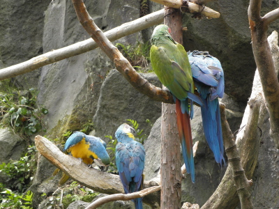 c0086895_1452387.jpg