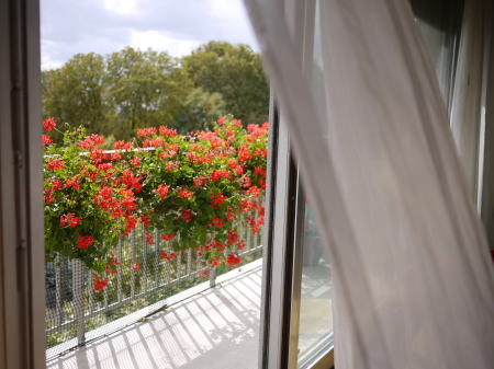 c0090198_4173699.jpg
