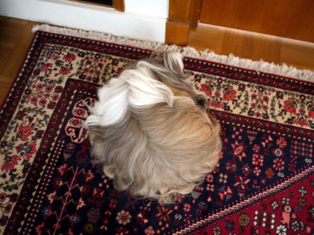 c0090198_421465.jpg