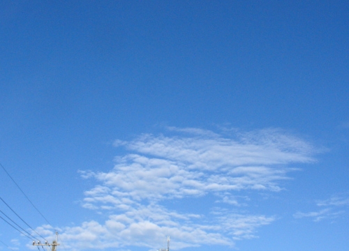 a0031000_9195746.jpg