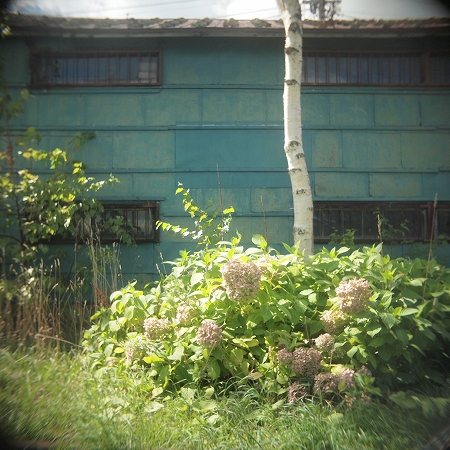 c0202705_2058393.jpg