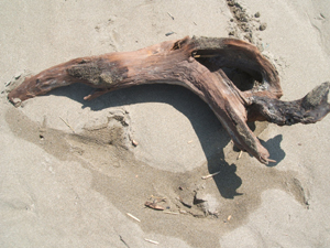 f0048405_1392070.jpg