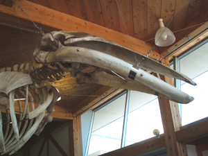 f0048405_1394537.jpg