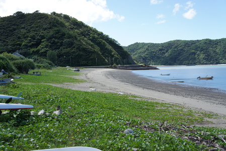 d0172508_1823383.jpg
