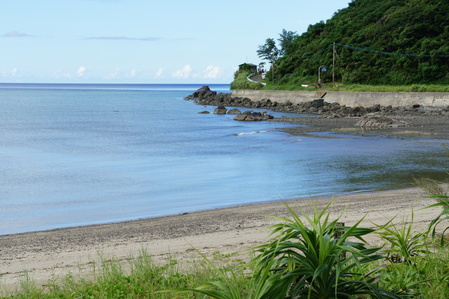 d0172508_1825851.jpg