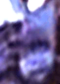 e0103408_13533729.gif