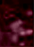 e0103408_13542970.gif