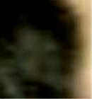 e0103408_1354471.gif