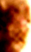 e0103408_1405598.gif