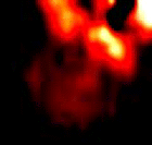 e0103408_1411060.gif