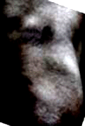 e0103408_1412116.gif