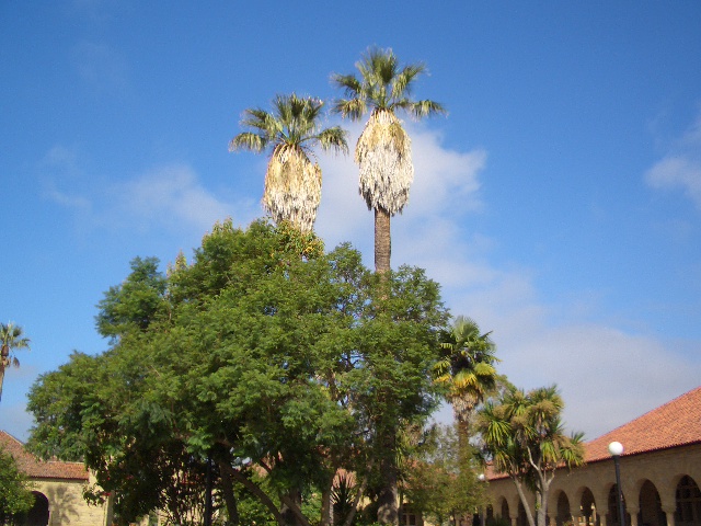 a0161409_004057.jpg
