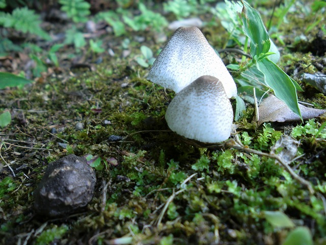 d0037110_14431156.jpg