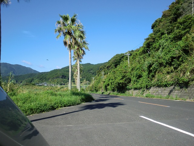 d0037110_1444414.jpg