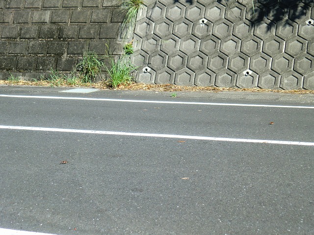 d0037110_144553100.jpg