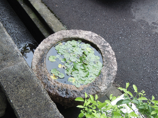 b0159611_0311217.gif