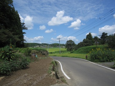 d0122515_15192291.jpg
