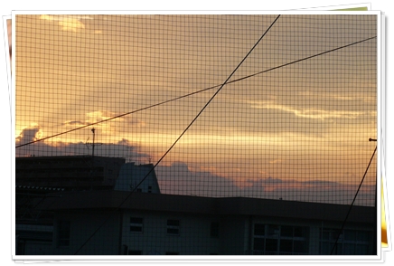 b0167519_851154.jpg