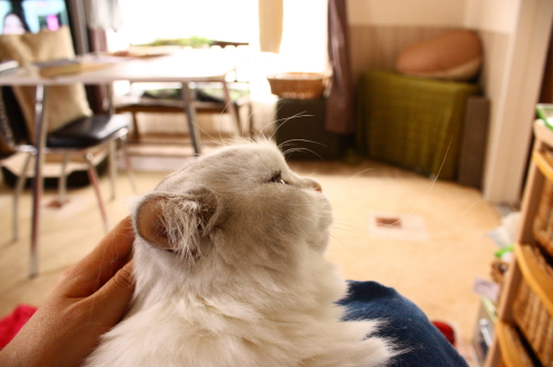 a0129020_1053829.jpg