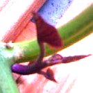 d0024220_21494012.jpg