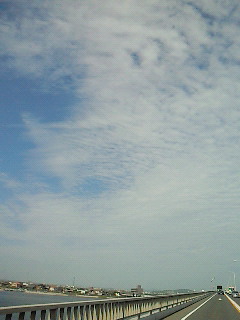 d0030521_12393036.jpg