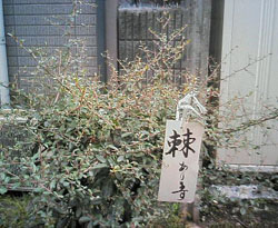 b0208823_14135156.jpg