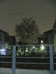 b0208823_14295450.jpg