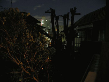 b0208823_14351117.jpg