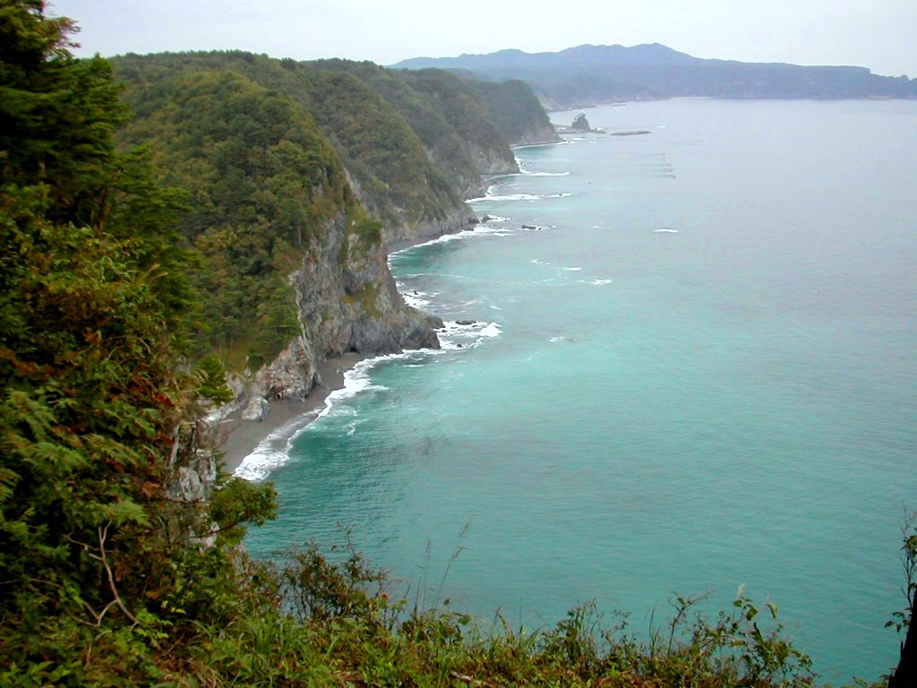 a0102824_2141179.jpg