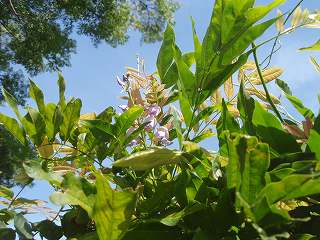 b0008825_22503785.jpg