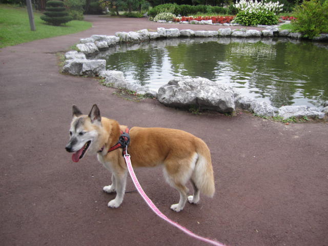 e0191826_0342519.jpg