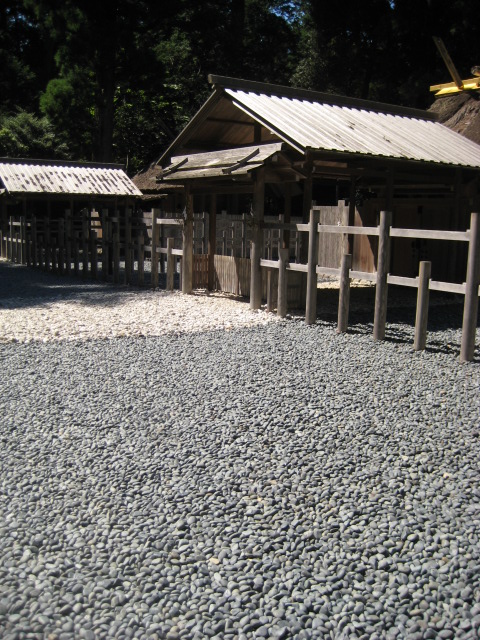d0147727_20143153.jpg