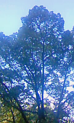 c0212929_9164484.jpg