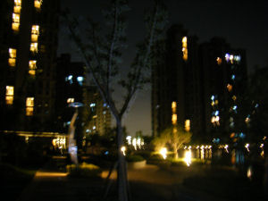 c0069036_19523887.jpg