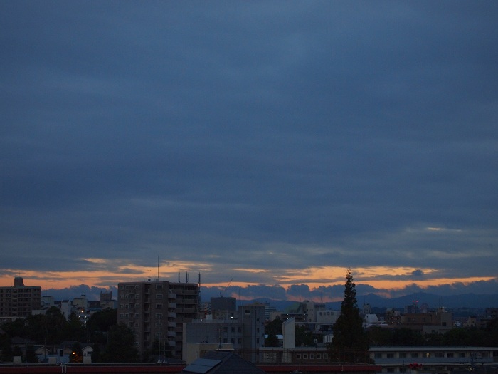 a0146442_7271593.jpg