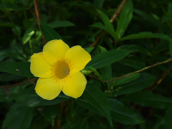 a0146442_7371818.jpg