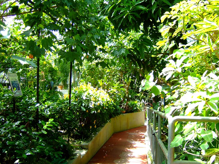e0006242_18111817.jpg