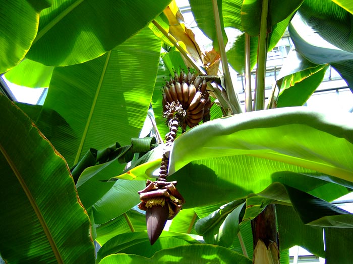 e0006242_18112171.jpg