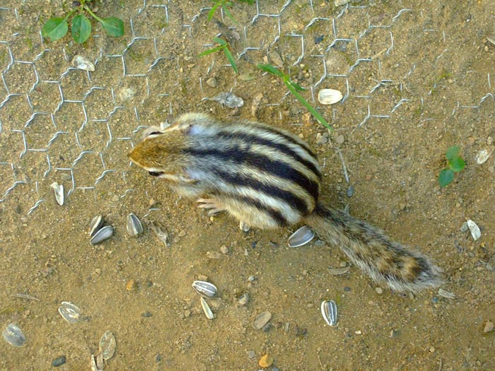 e0006242_189423.jpg