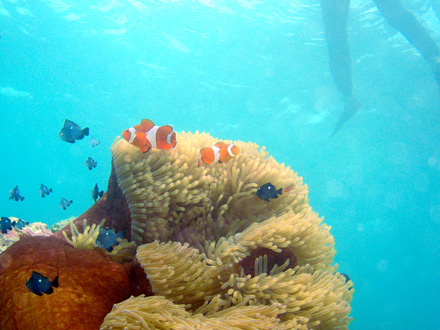 f0014842_150960.jpg