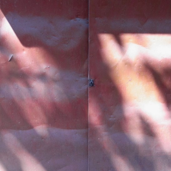 e0009147_20594292.jpg