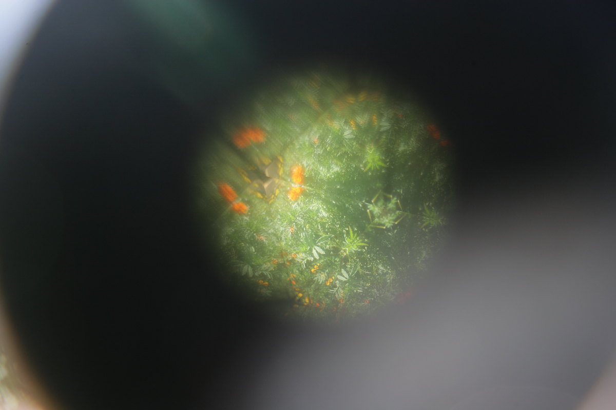 d0110849_4311044.jpg