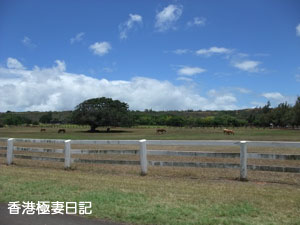 f0190653_1032273.jpg