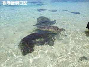 f0190653_11154443.jpg