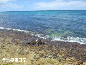 f0190653_11194670.jpg