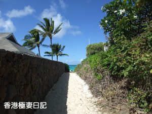 f0190653_1334318.jpg